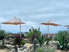 -Brew Farm·精酿农场海滨悬崖餐厅