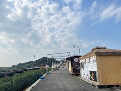 -龙坞茶村