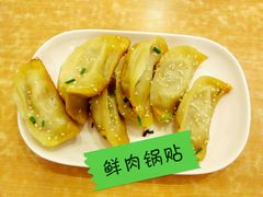 鲜肉锅贴-小姜锅贴(凤凰街店)
