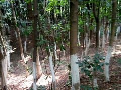 android_upload_pic-艾溪湖湿地公园