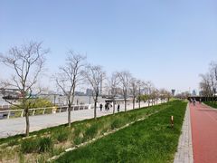 -上海山野camping·户外天幕烧烤·团建拓展营地