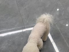 -贝利宠物医院·骨科·眼科·肿瘤转诊中心(南坪诊疗中心)
