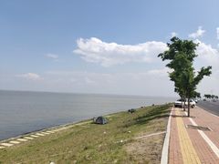 -呼兰河口湿地公园