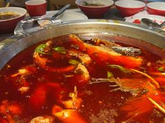 -蜀滋香鲜鱼美蛙火锅(339店)