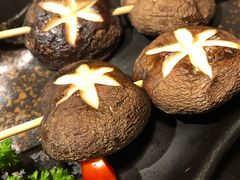 -春草居酒屋·晴子の店