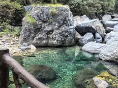 -石台牯牛降景区