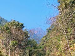 -姑婆山旅游区