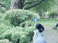 -晓港公园