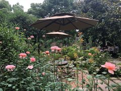 -谷咖啡·鲜花绿植花园餐厅