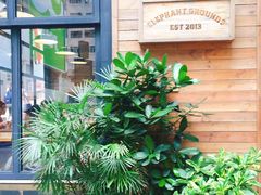 -Elephant Grounds(STARSTREET)