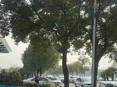 -无忧学车·大众驾校(长宁校区)