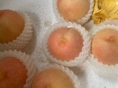 -南汇新场正宗水蜜桃采摘