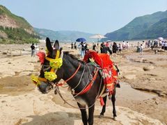 -陕西黄河壶口瀑布旅游区