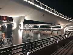 -演武大桥观景平台