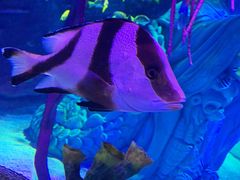 -沈阳海洋探索中心