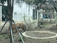 -成都动物园