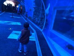 -成都浩海立方海洋公园