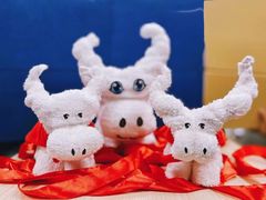 -长沙富力万达文华酒店