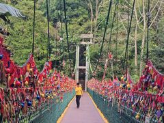 -西双版纳原始森林公园