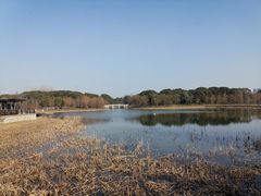 -昆山城市生态森林公园