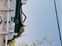 -召稼楼古镇