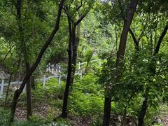 -南溪山景区