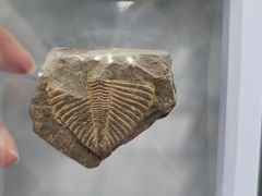 -房山世界地质公园博物馆