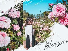 -威勒比开放式动物园