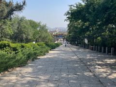 -府君山公园