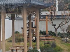 -无锡动物园·太湖欢乐园