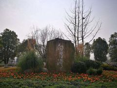 -白鹭湾湿地公园