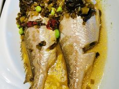 -扬州狮子楼·非遗淮扬菜(总店)