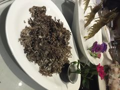 iphone_upload_pic-厦门园林植物园-植物园滴水山房