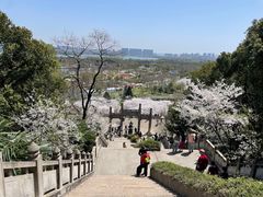 -苏州上方山国家森林公园