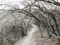 -北京西山国家森林公园