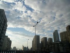 -璐坊粽王(复兴中路店)