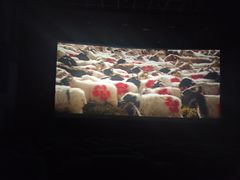 -萧山德纳MAX影城