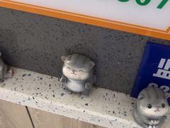 -半岛宠物医院24小时(白果林店)