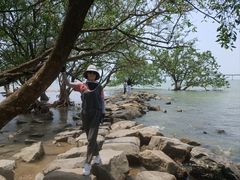 -宝安西湾红树林湿地公园