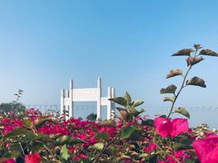 -宝安西湾红树林湿地公园