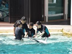 -新加坡水上探险乐园