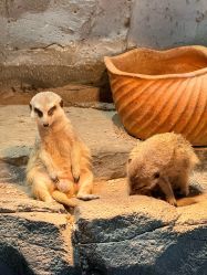 -Zoolung Zoolung动物主题公园(海信广场店)