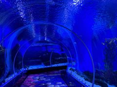 -顺德南宏海立方海洋公园