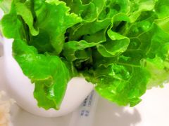 -古乐牛香·鲜牛肉牛杂火锅(新区店)