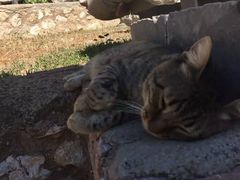 -梅黛奥拉修道院