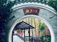 -侨美·唐荔园·40年地道粤菜