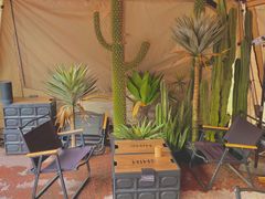 大堂-HIHE Bistro·Oyster Bar(华熙live店)