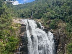 -海南热带雨林国家公园吊罗山景区