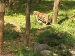 -杭州野生动物世界