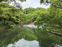 -桃花岛风景旅游区